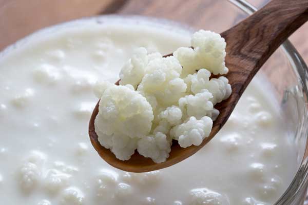 Unlocking the Power of Kefir: A Probiotic Superfood for Gut Health