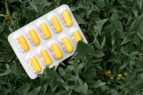 The Amazing Benefits of Benfotiamine: A Complete Guide