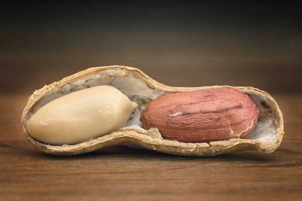 Eat Plenty Of These Type Of Peanuts If You Have Diabetes
